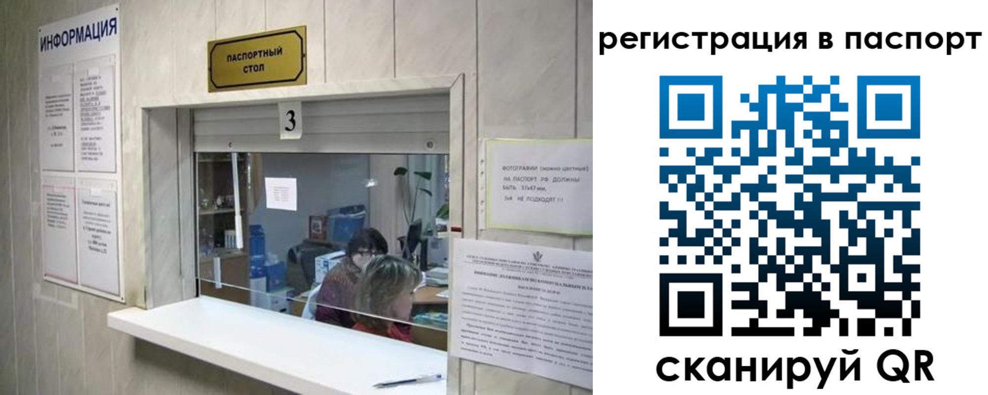 прописка поиск в Дмитрове